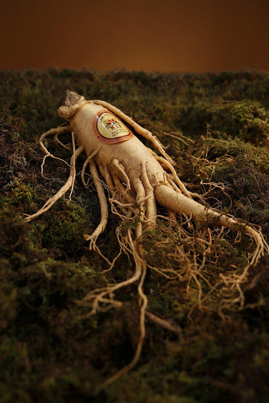 Ginseng: 5 Benefits of this Powerful Natural Weight Loss Stimulant-It Really Works Vitamins