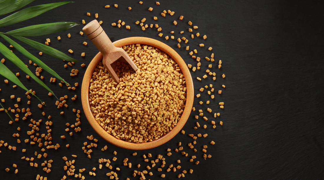 The Right Way To Use Fenugreek For Hair Growth and Hair Loss
