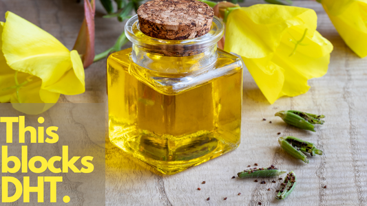 Evening Primrose Oil for Hair - Can Evening Primrose Oil block DHT?