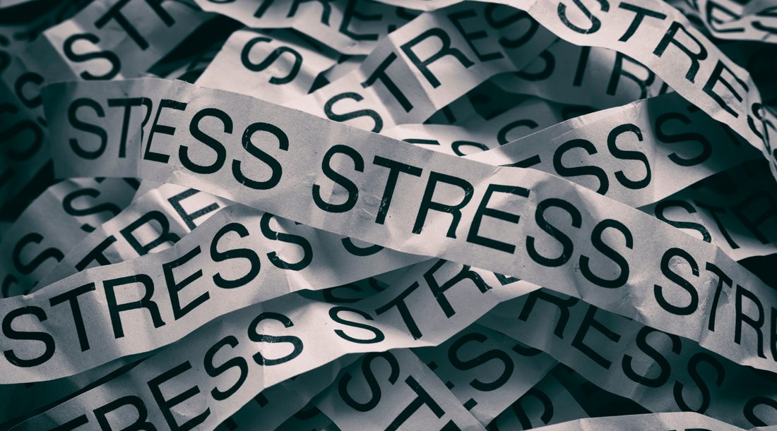 How does stress affect your skin?
