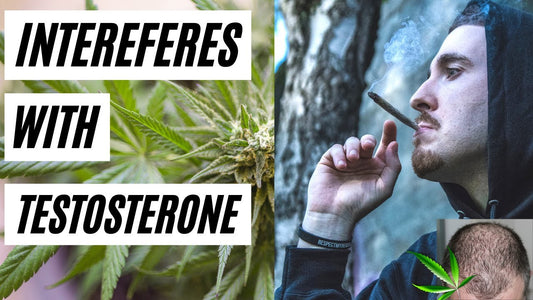 Marijuana and Hair Growth - What is the reality?